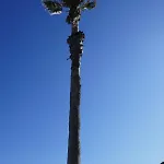 Bel Accès Direct Mer; L'almanarre, * Hyères