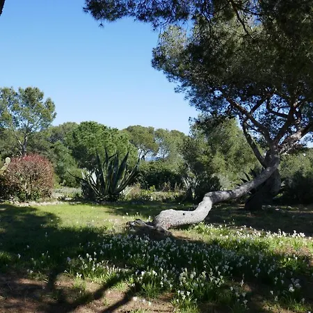 Bel Accès Direct Mer; L'almanarre, Hyères